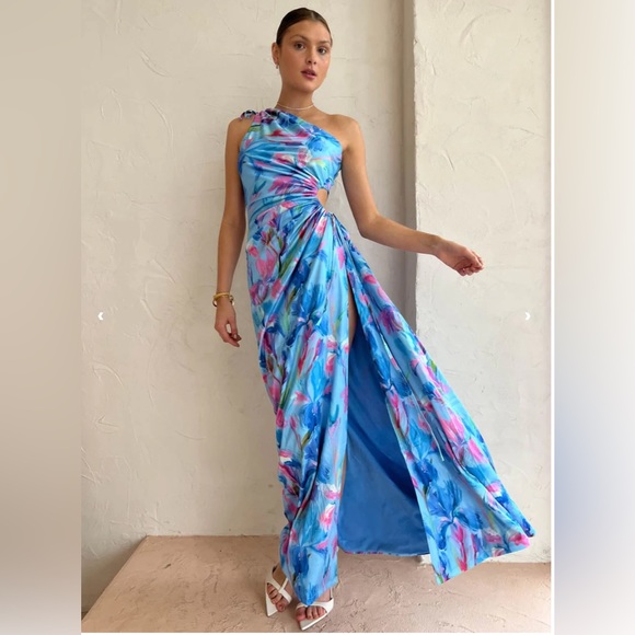 Sonya Dresses & Skirts - 🎉HOST PICK🎉 NWT Sonya Nour Maxi Dress in Zuri Print